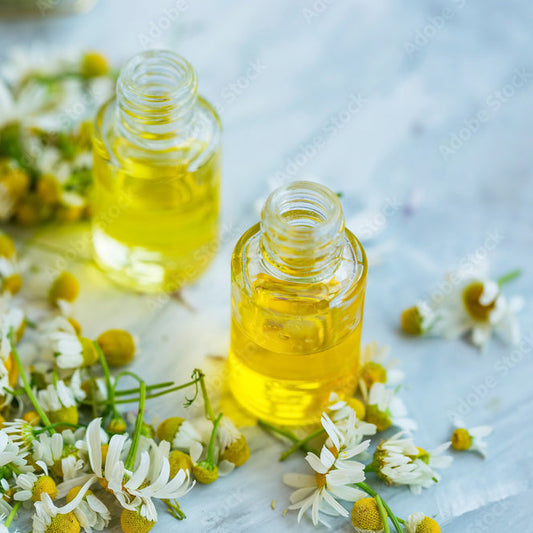 Infused Chamomile Oil